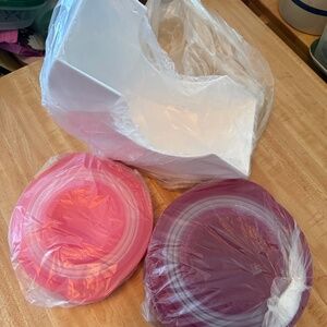 Tupperware flat out containers & The place for seals